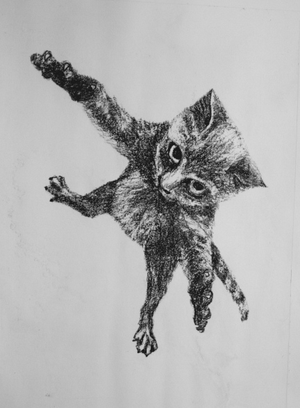 flying cat 2